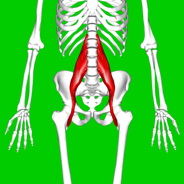 What is the Psoas Stretch